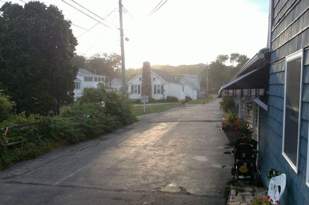 Sea Turn Motel York Luaran gambar